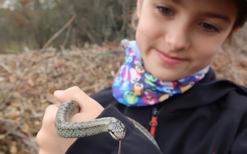 Z hada se nakonec vyklubala užovka