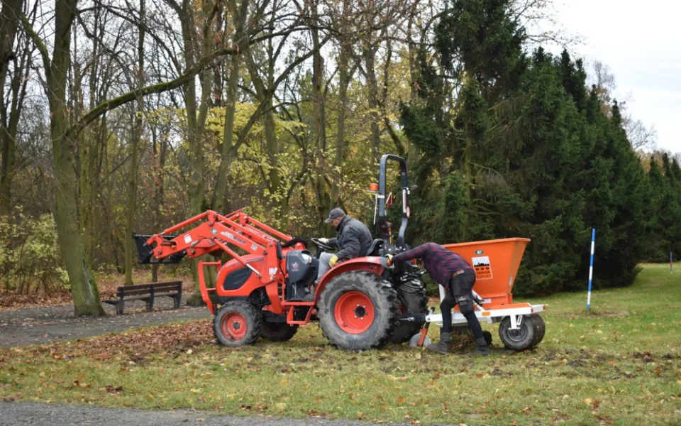 Zahradníci vysázeli v největším městském parku tisíce tulipánů, narcisů a krokusů