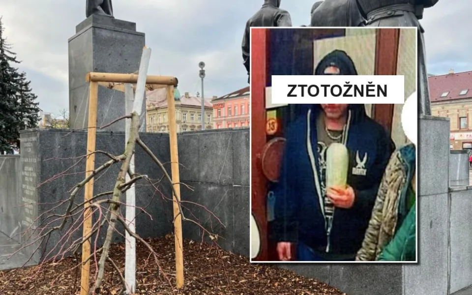 Vandal, který zpřerážel okrasnou lípu u pomníku T.G.M, se přišel sám udat na policii