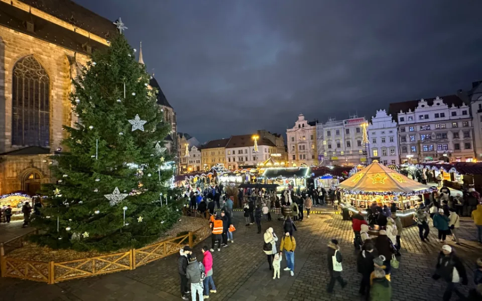 Letošním vánočním stromem je v Plzni smrk ztepilý