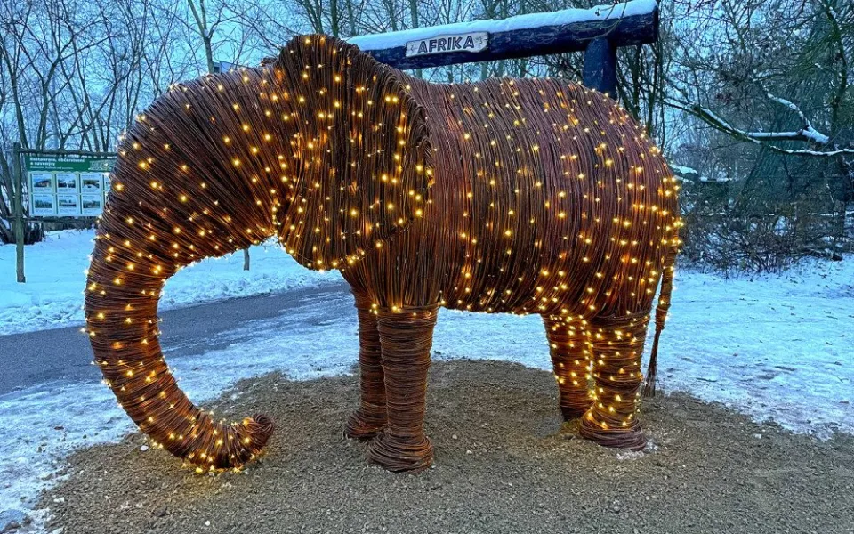 Zoo Plzeň získala svého prvního slona. Je absolutně nenáročný na chov a navíc i krásně svítí