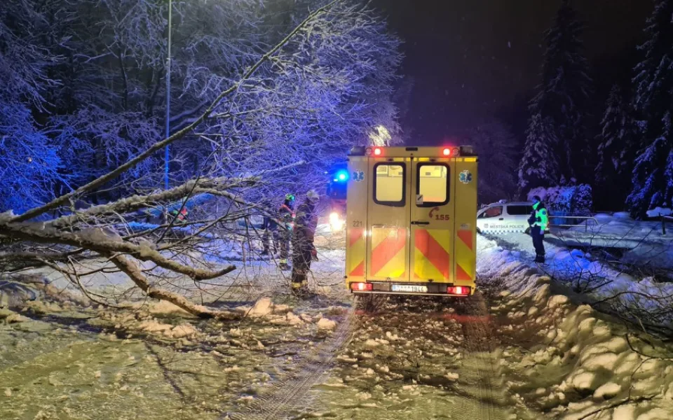 Na Šumavě může v noci napadnout až 40 cm sněhu. Silný vítr bude lámat a vyvracet stromy přetížené sněhovou nadílkou