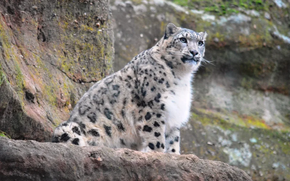 Zoologická zahrada v Plzni láká na výjimečnou silvestrovskou atmosféru