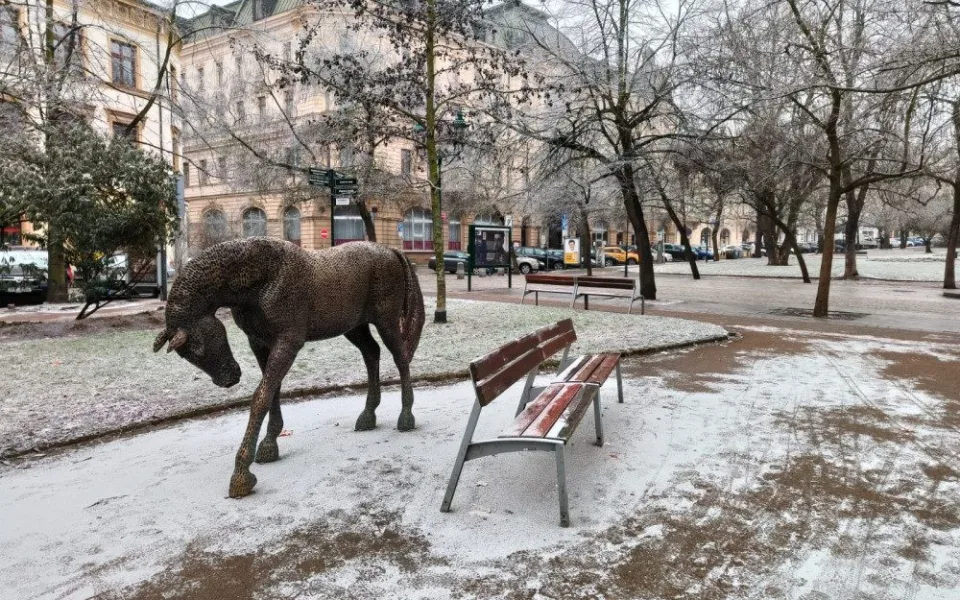 Poslední záchvěv zimy by mohl přijít na přelomu února a března, odhadují meteorologové