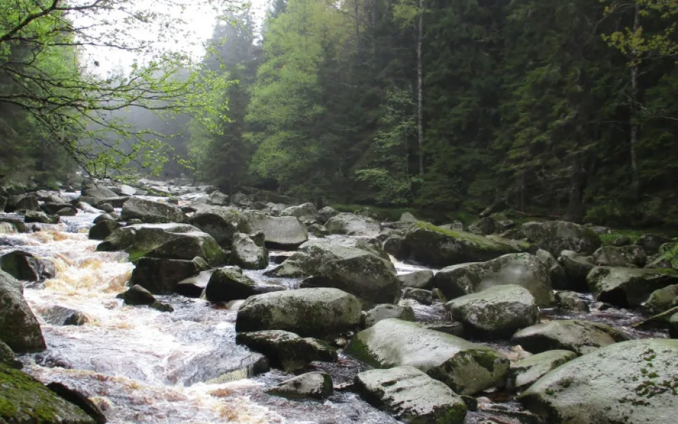 Šumava by se mohla více otevřít turistům, klidová území se zmenší