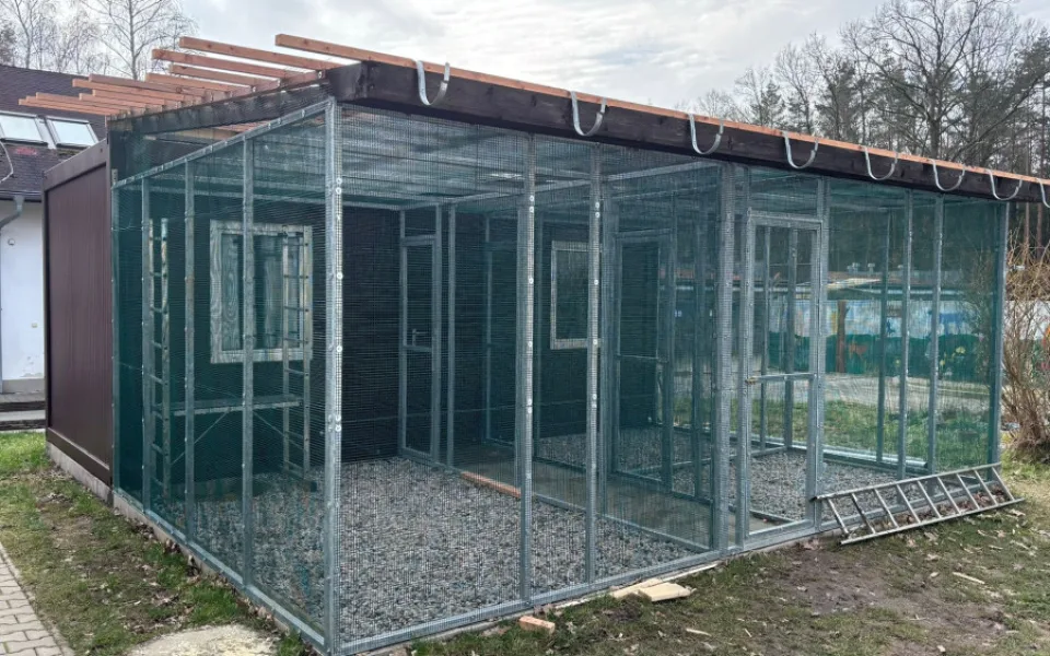 Kromě psů a koček se musí v útulku postarat také o papoušky nebo želvy, vzniká tam proto nový pavilon