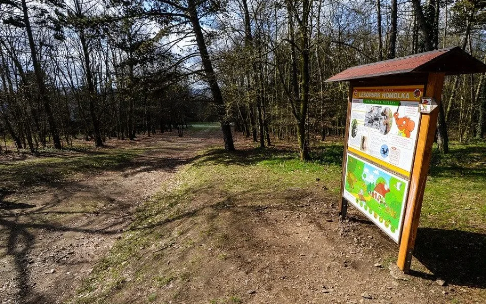 Přes 90 stromů v lesoparku Homolka půjde k zemi, dřeviny jsou suché nebo poškozené