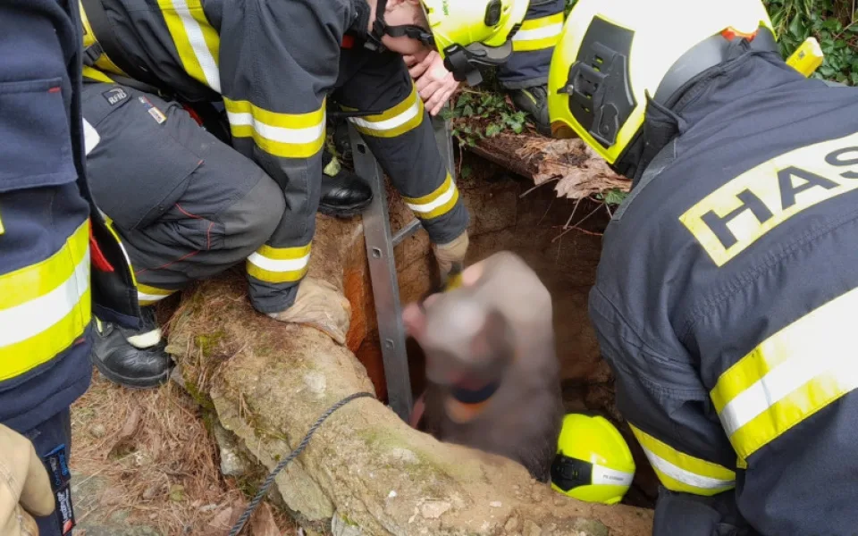 Senior spadl do hluboké studny a byl po prsa v ledové vodě, vysvobodit ho museli hasiči