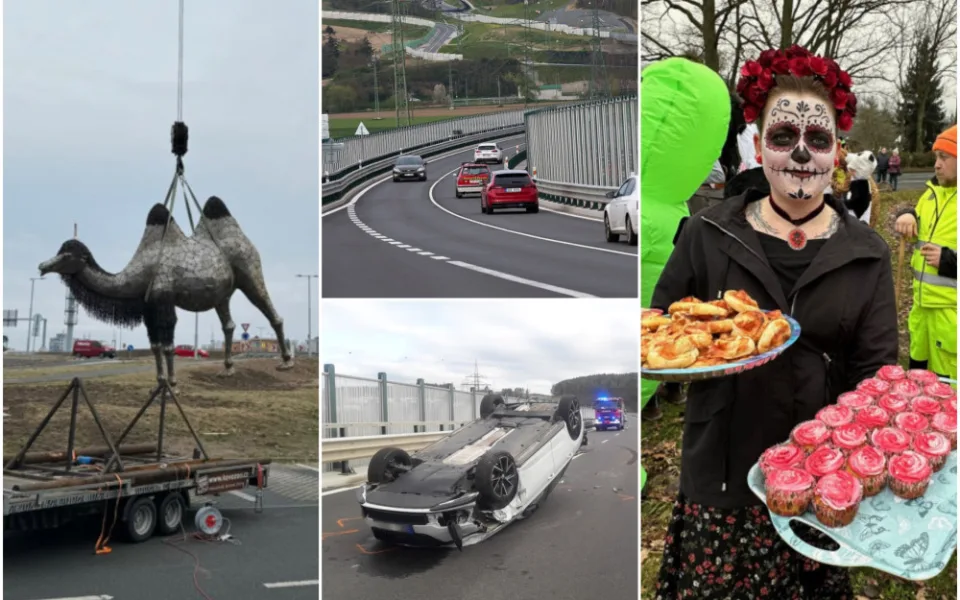 ÚNOR 2024: Socha velbloudice, likvidace squatu i masopustní veselí