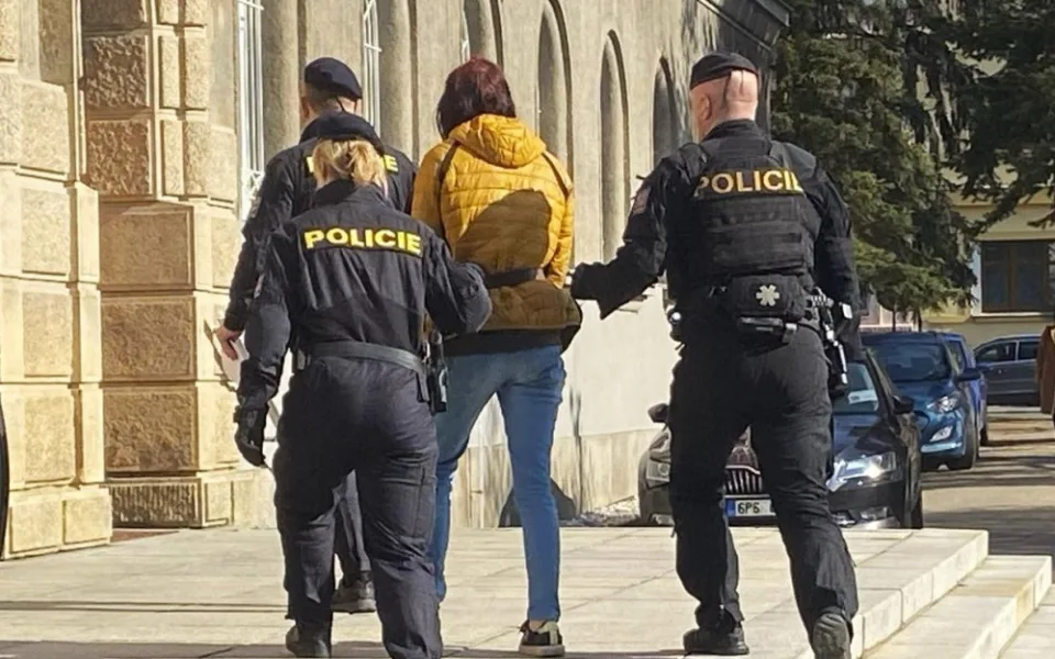 Do vazby poslal soud mladou ženu, která měla pod vlivem drog ubodat nožem seniora