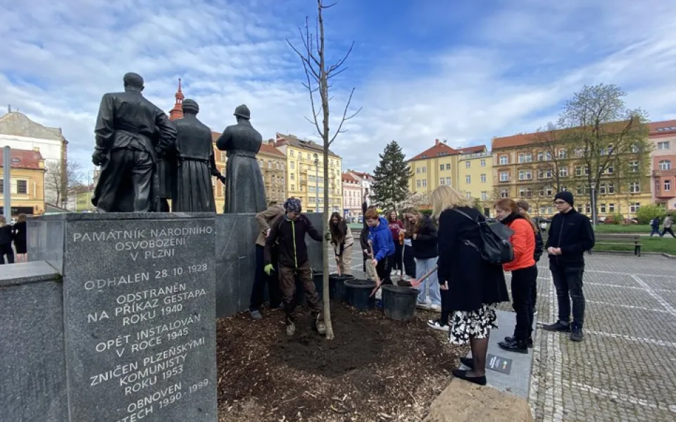 Původní lípu u pomníku T. G. Masaryka umořili lidé a psi močením, druhou polámal vandal, třetí snad už vydrží