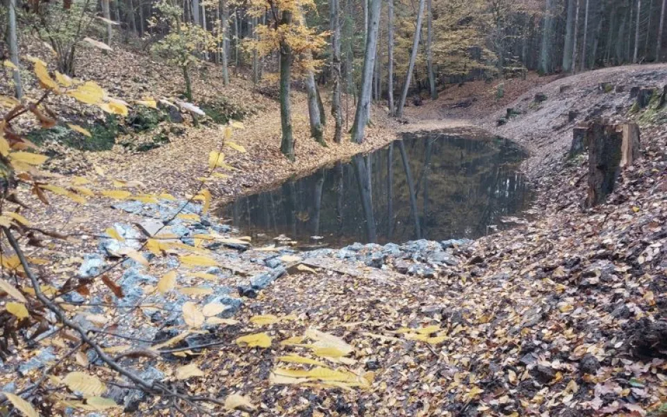 Tůň Šťáhlavický kozlík