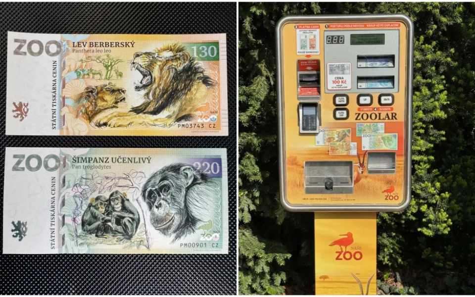 Plzeňská zoo vydala novou opičí bankovku, peníze z prodeje půjdou na ochranu zvířat