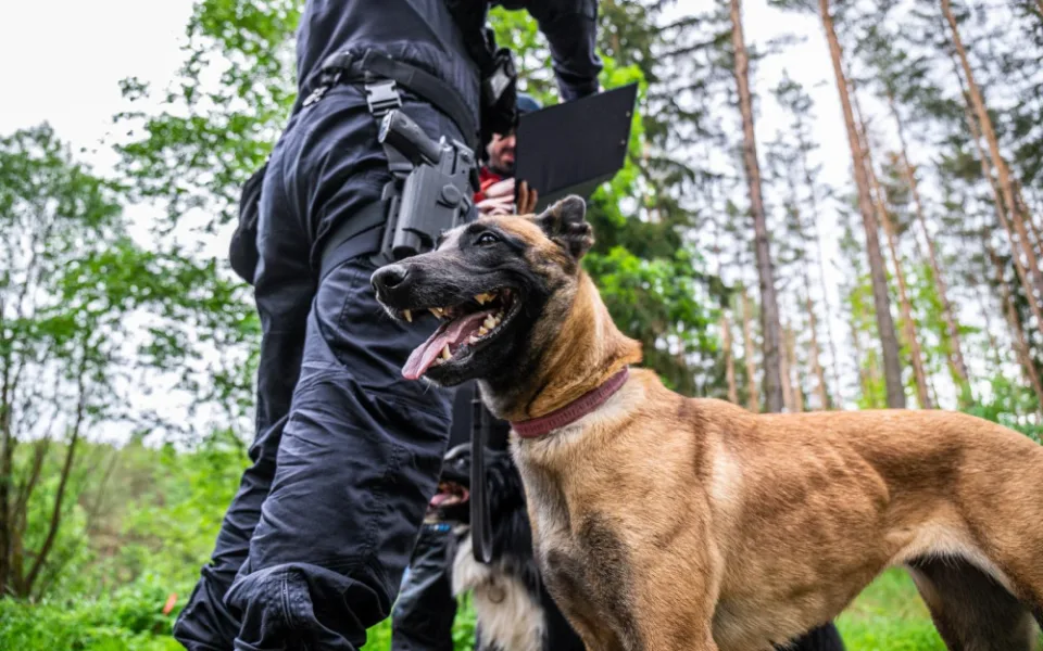 Policejní fenka Kelly prošla nejtěžšími kynologickými testy, teď pomůže s pátráním po pohřešovaných