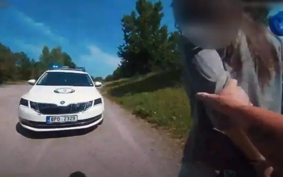 Zadržení pachatele
