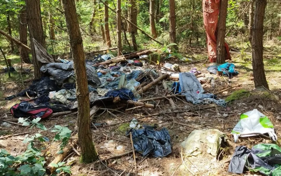 Lidé mění městské lesy v nechutné skládky odpadů, zakládají nelegální ohniště a auta houbařů blokují výjezdy