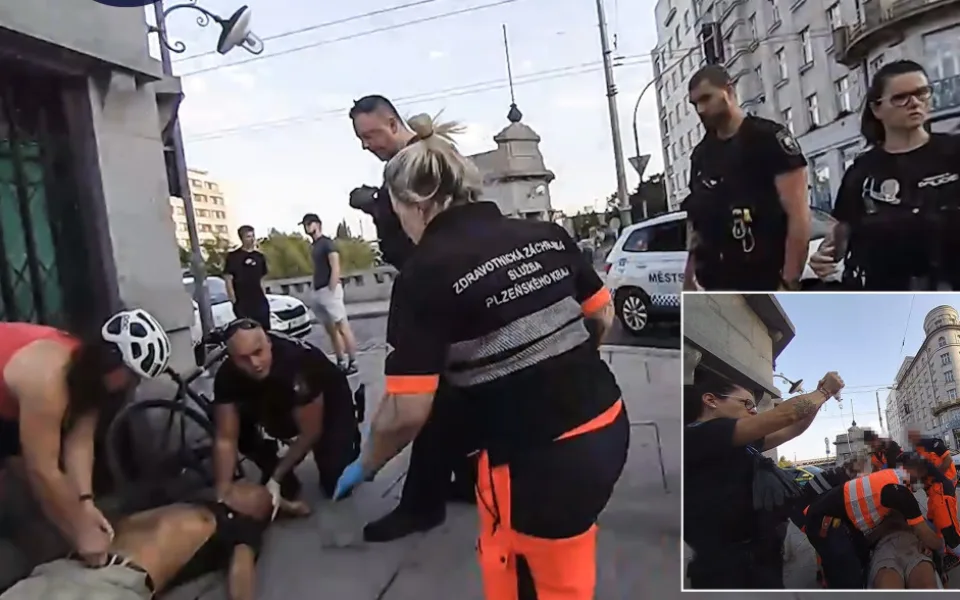 Alergik zkolaboval po bodnutí vosou, život mu zachránili strážníci