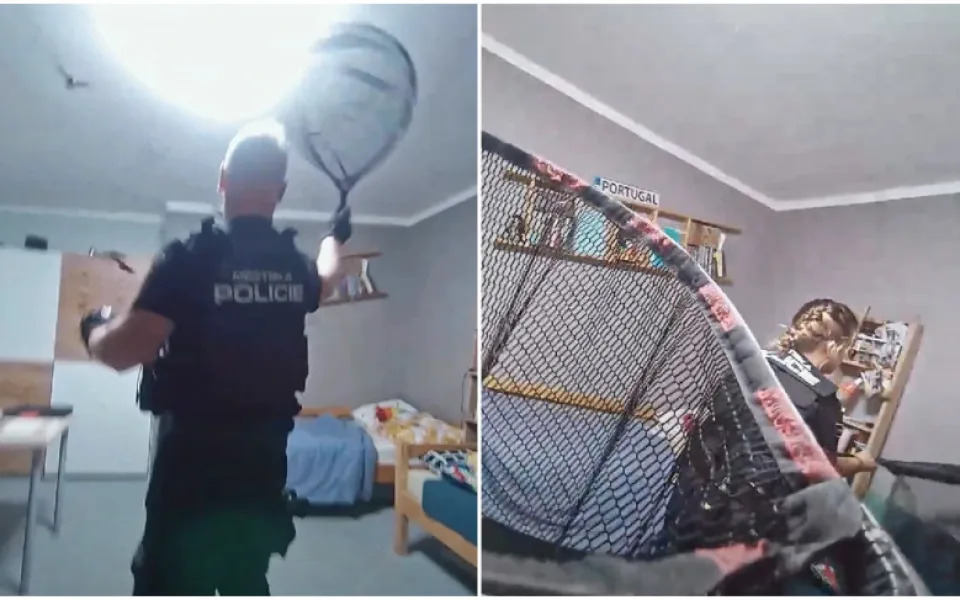 VIDEO: Byt obsadily desítky netopýrů, odchytávali je strážníci s podběráky