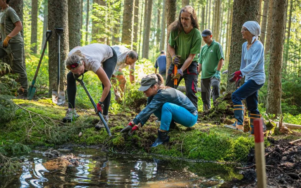 Desítky dobrovolníků pomáhaly s obnovou mokřadů a rašelinišť v Národním parku Šumava