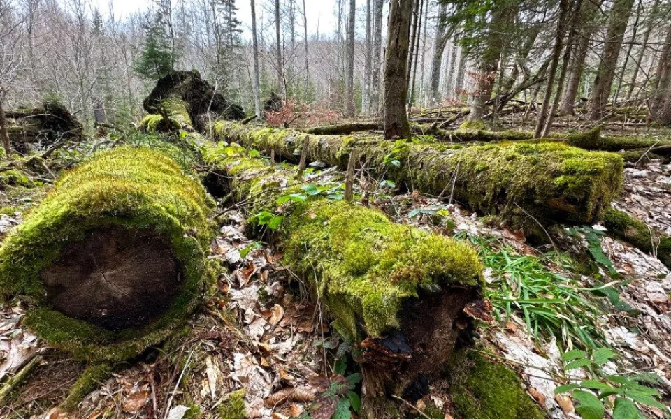 Ilustrační foto