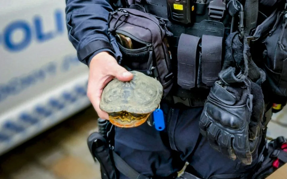 Strážníci plzeňské městské policie už z ulic sebrali desítky želv