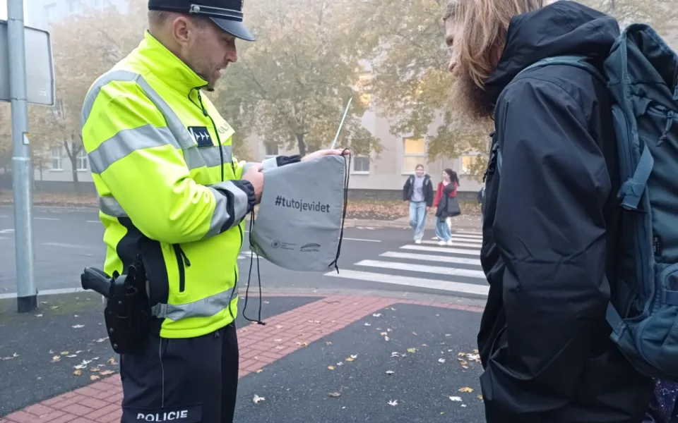 Nehod s chodci je čím dál víc, letos už byly dokonce dvě smrtelné. V polovině případů jsou na vině právě pěší