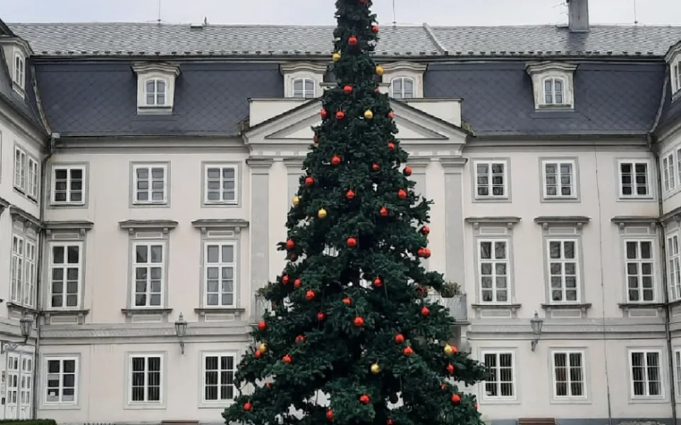 Zatímco některá města svůj vánoční strom stále hledají, Tachov už ho má i ozdobený