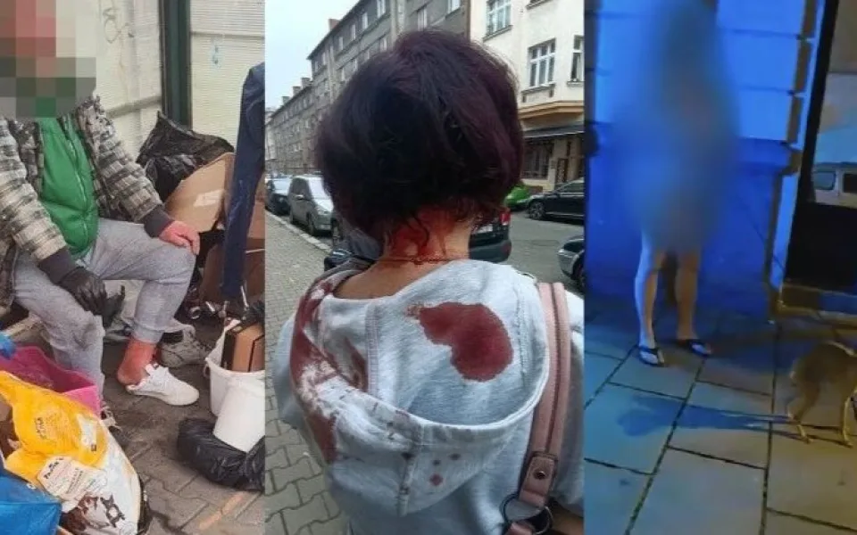 Listopadový bizár i největší kuriozity
