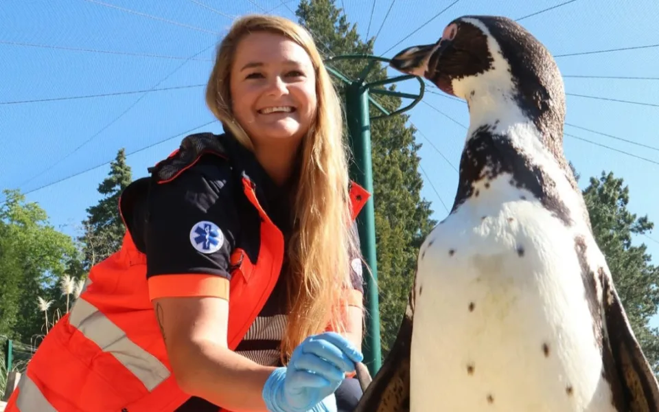 Záchranáři se převtělili do rolí ošetřovatelů v zoo, výsledkem je dobročinný kalendář
