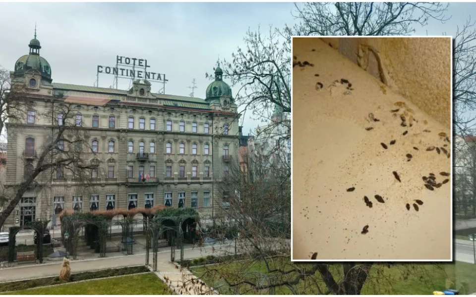 ilustrační foto