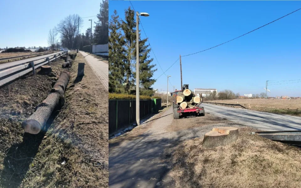 Kácení velkých stromů u Výsluní znepokojilo řadu občanů. Na místě se připravuje přestavba důležité křižovatky