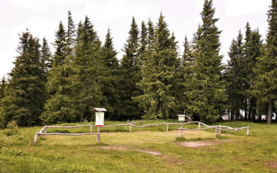 Takové nocležiště mohou využívat turisté na Poledníku v NP Šumava