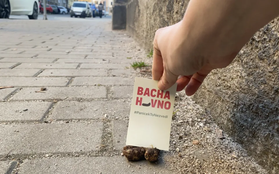 Proti psím exkrementům na chodnících bojuje originálním způsobem mladá žena. Zabodne do nich úderný vzkaz