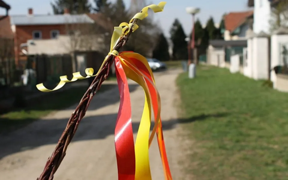 Co si myslíte o velikonoční koledě a vyšlehání dívek i žen pomlázkami?