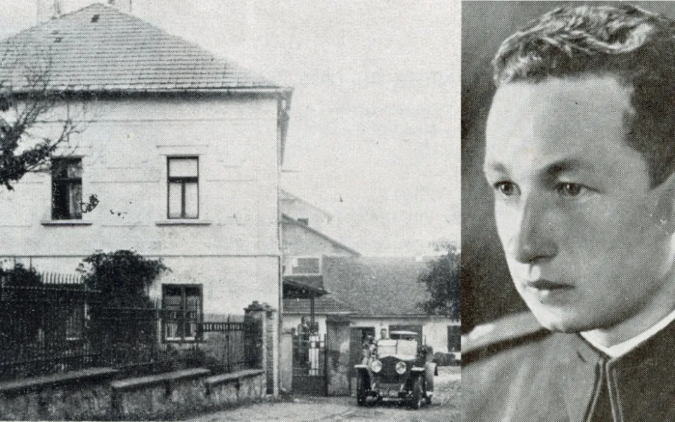 Výstava