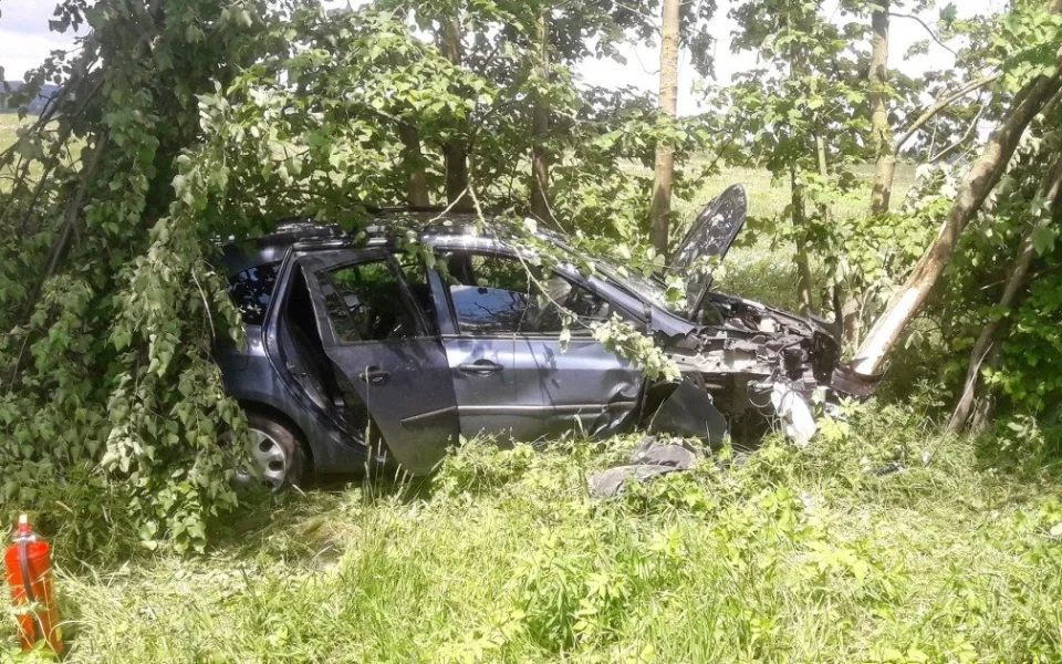 Auto vyletělo ze silnice a skončilo v houští mezi stromy. Na vině byl mikrospánek řidiče