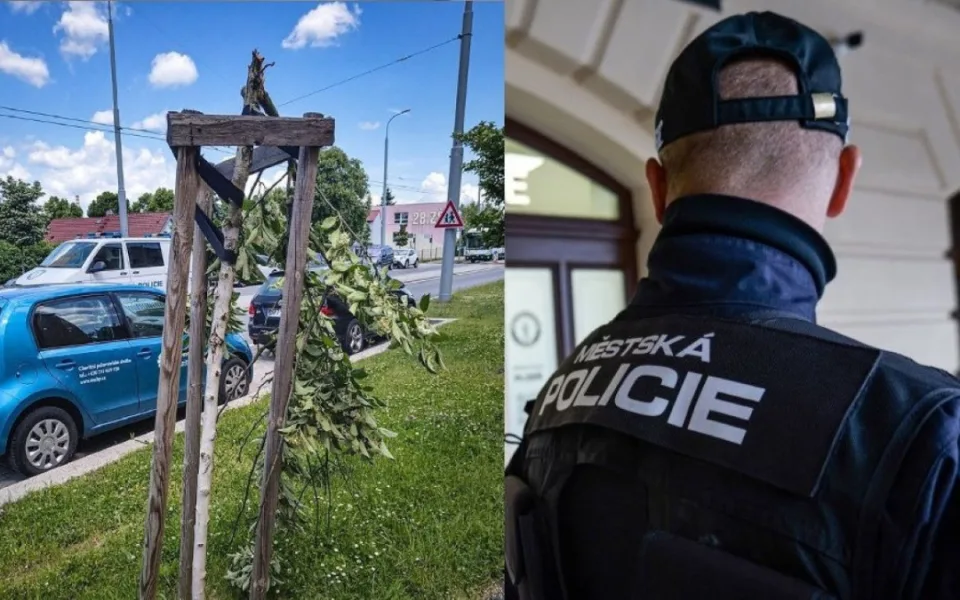 Opilý Tarzan opakovaně řádil na Doubravce. Urážel chodce, zlomil strom a útočil na zastávku MHD