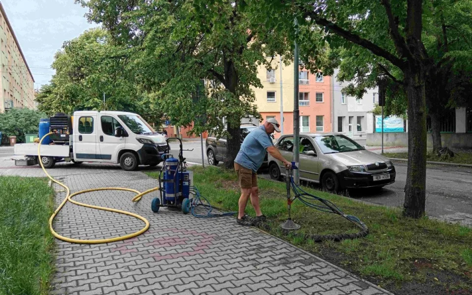 Rekonstrukce plynu dala vzrostlým lípám pořádně zabrat, teď dostaly dávku živin