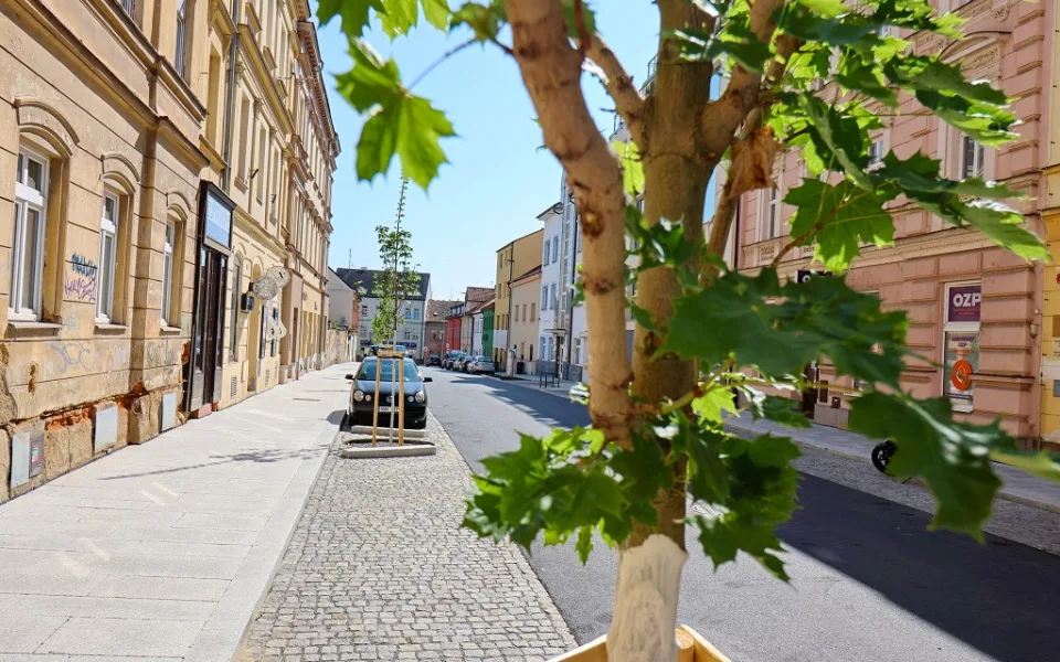 Asfalt nahradila žula a přibyly i stromy, Purkyňova ulice prošla proměnou