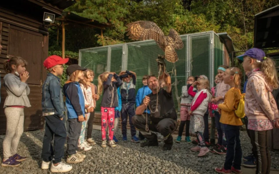 Záchranná stanice v Plzni pečuje o zraněná zvířata, která se tam často dostávají z celého Plzeňského kraje