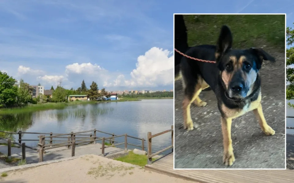 Muž se šel vykoupat do rybníka a zmizel, zůstala po něm jen fenka a prázdná osuška