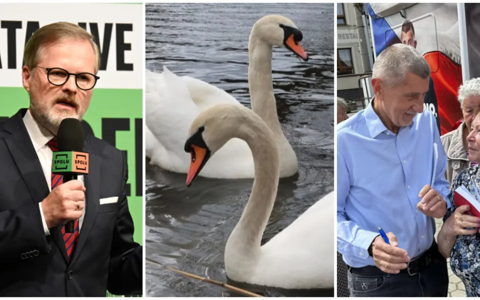 ČERVEN 2025: Emoce na politických debatách i záhada zmizelých labutí