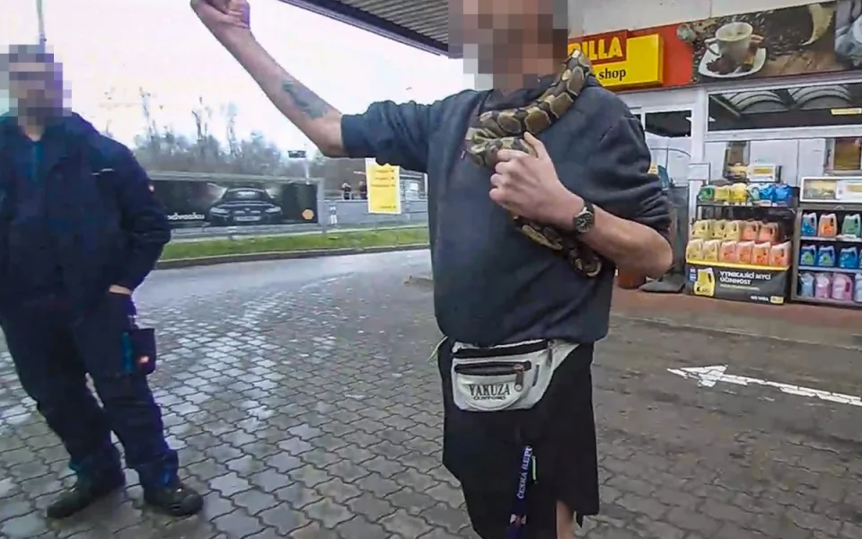 Kolem krku nosil krajtu a její hlavu si strkal i do pusy, muž skončil ve vazbě