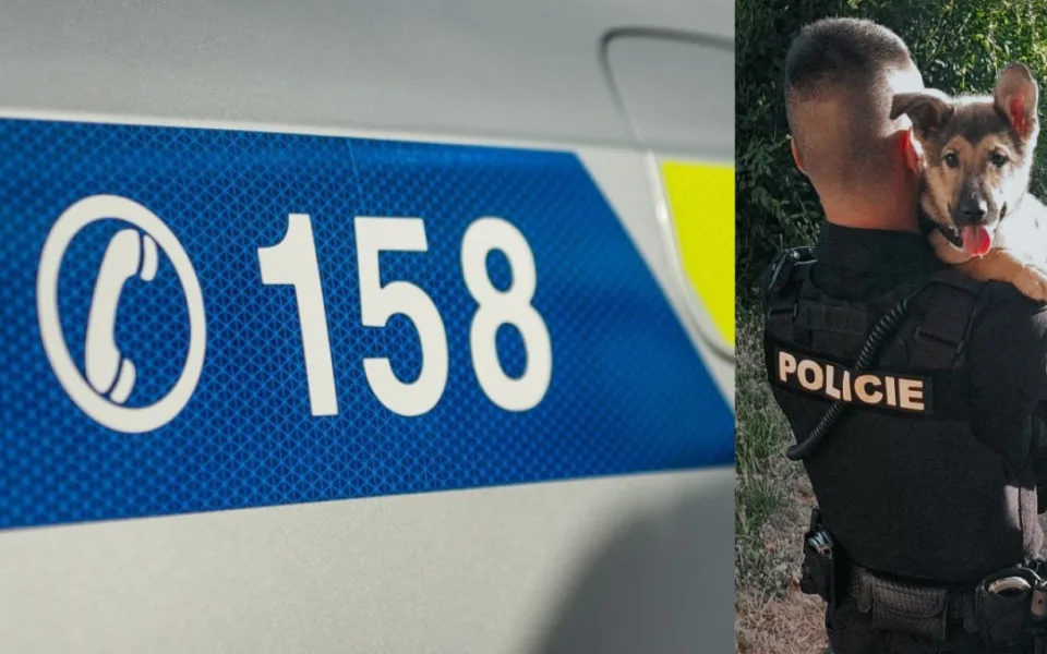 Nechtěné štěně německého ovčáka se podařilo vysvobodit ze sklepa. Už má nový domov
