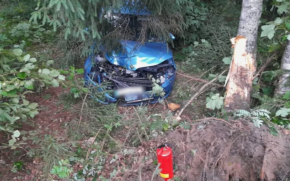 Auto vyletělo ze silnice a po děsivém nárazu vyvrátilo strom. Řidič za jízdy usnul
