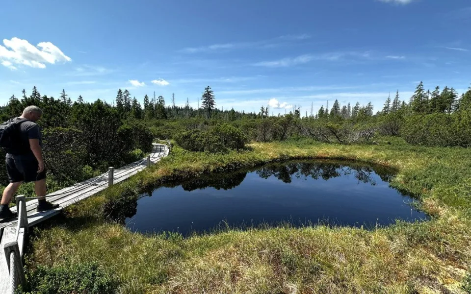 Objevte malý šumavský Yellowstone. Úžasný výlet k jezírkům v Bavorském lese si užijete bez davů