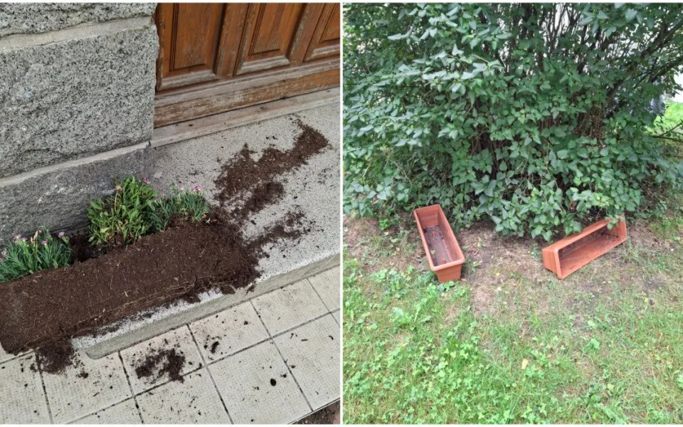 Záhada mizejících květináčů. Vandalové rozhazují rostliny po okolí nebo nosí lidem cizí truhlíky