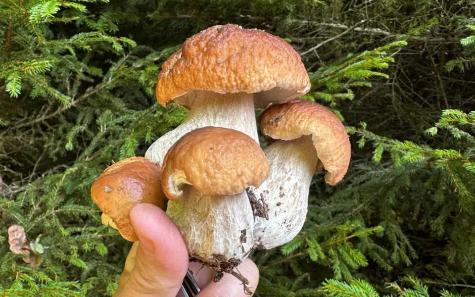 foto: Richard Beneš