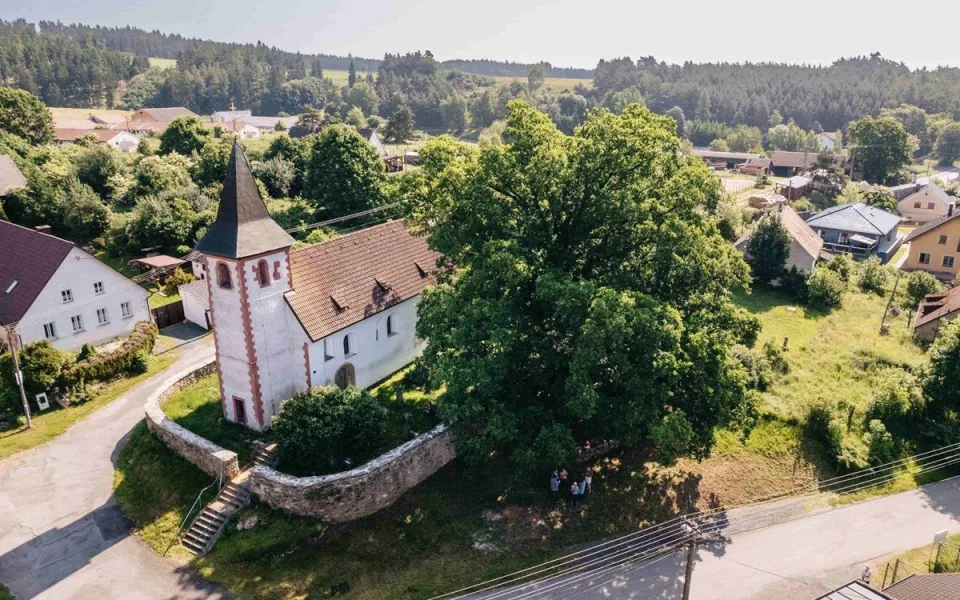 Pamatuje ještě třicetiletou válku, kostelní dub teď usiluje o cenu v anketě Strom roku