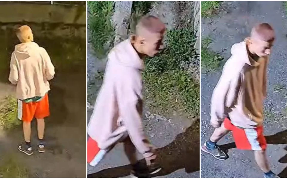 Policisté hledají parfémového zloděje, rádi by si promluvili s mladíkem na fotografiích